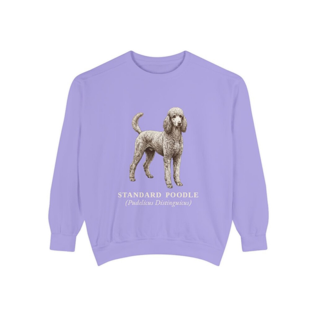 Standard Poodle Latin Sweatshirt, Violet, front view