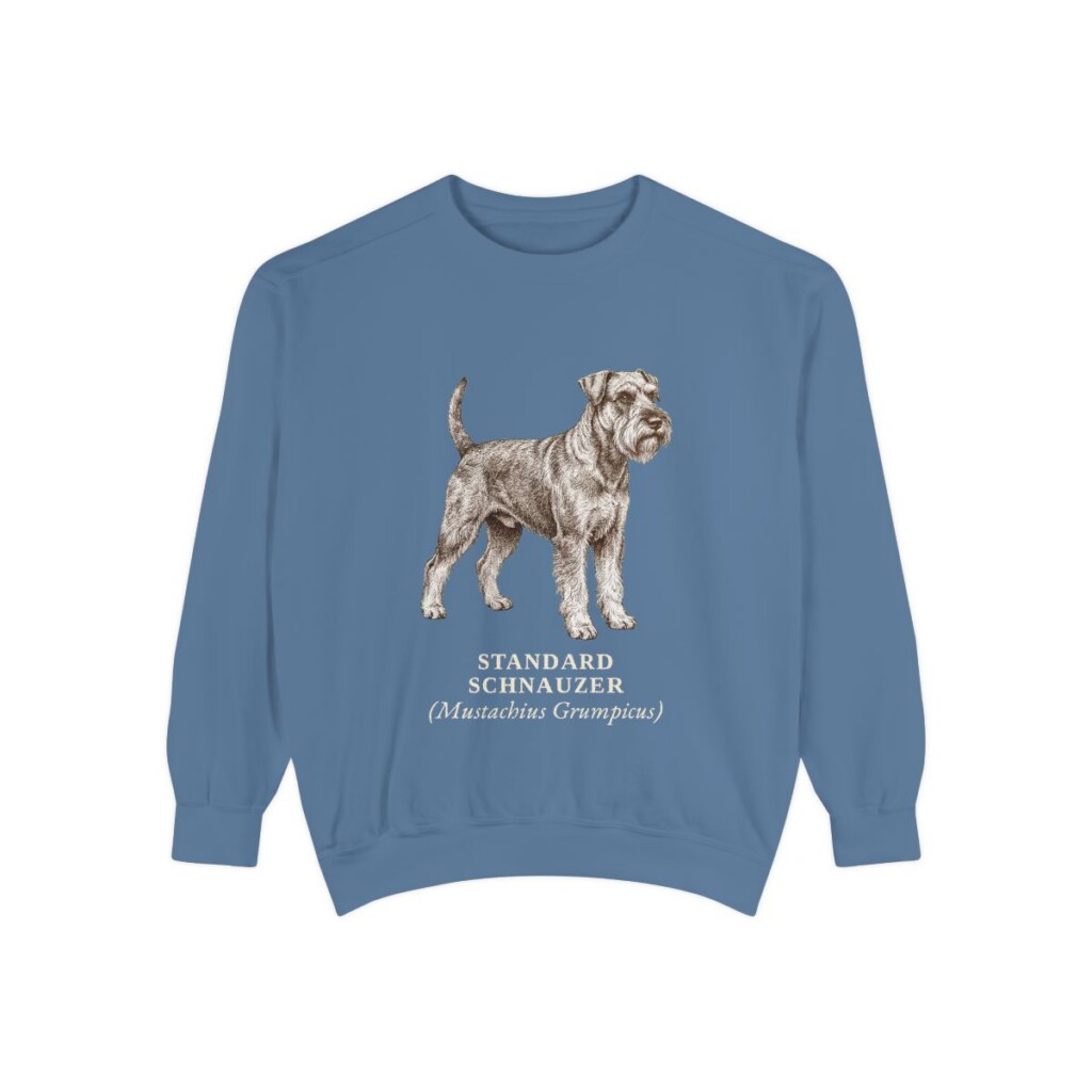 Standard Schnauzer Latin Sweatshirt, Blue Jean, front view