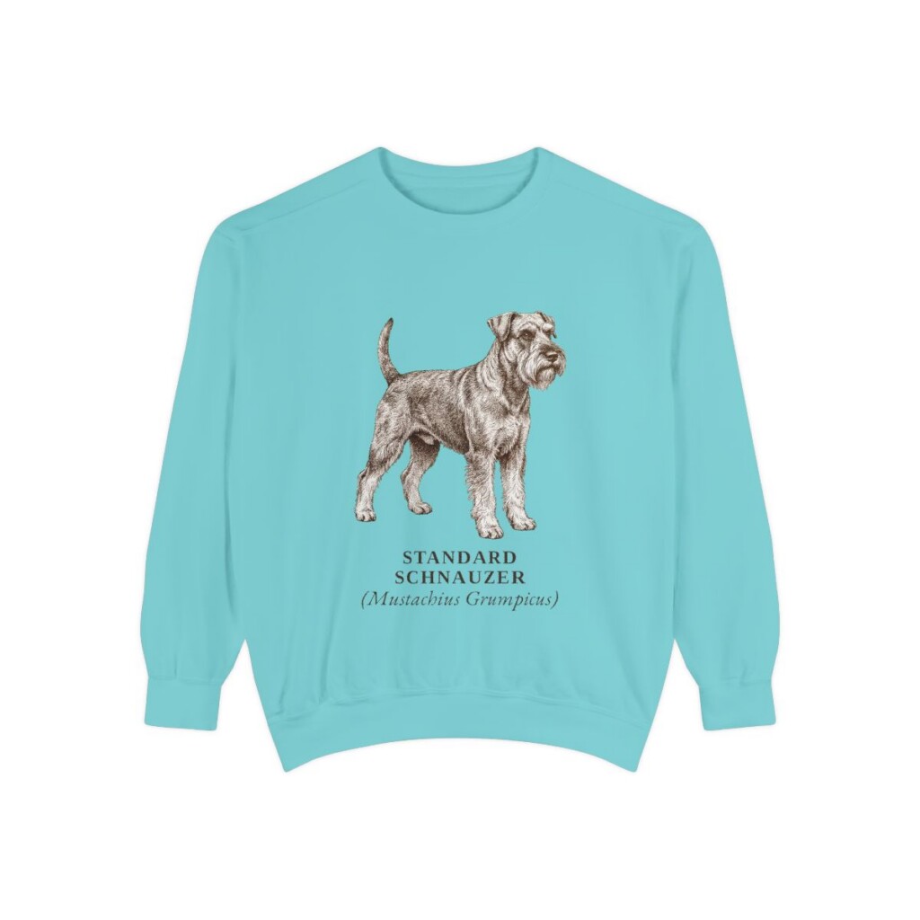 Standard Schnauzer Latin Sweatshirt, Chalky Mint, front view