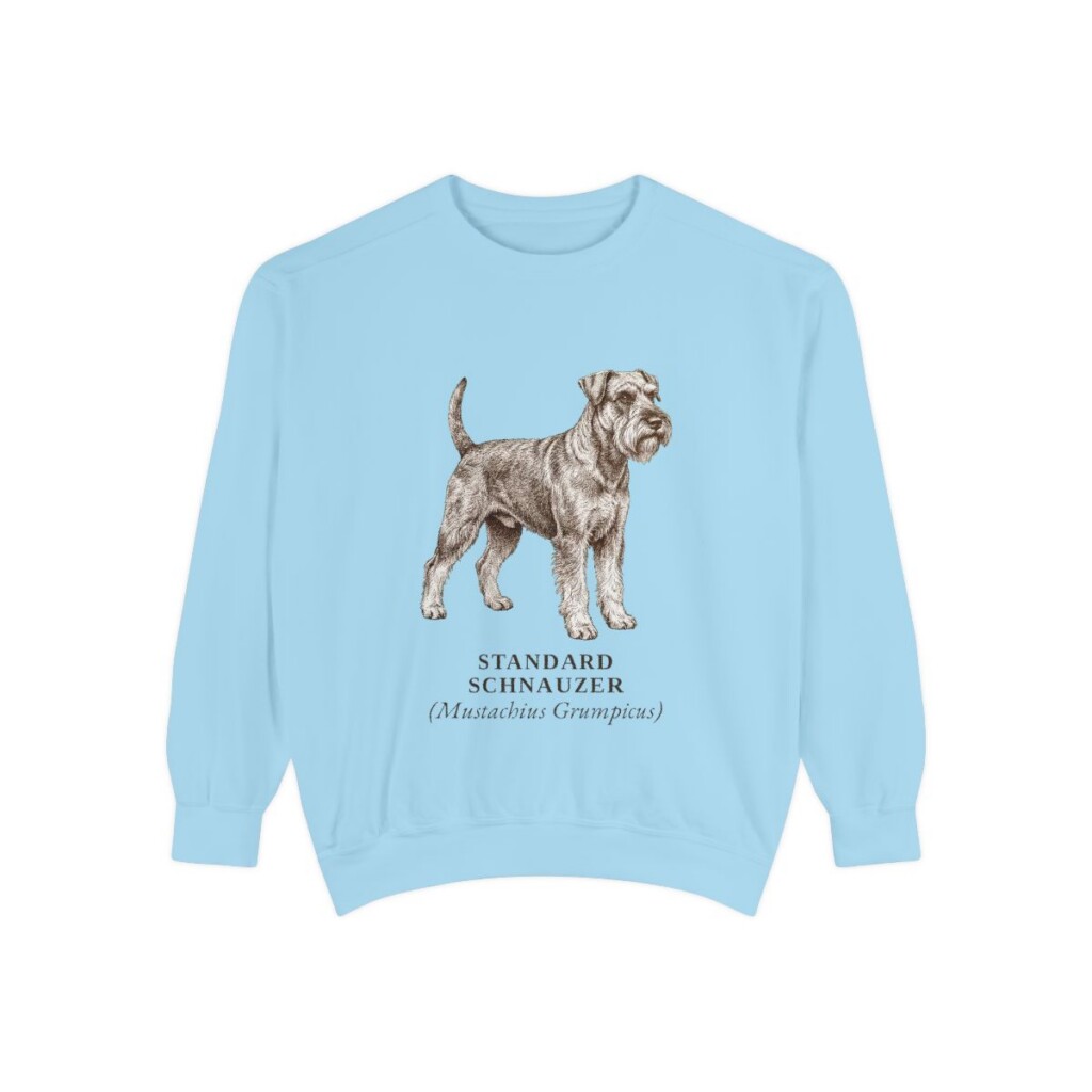 Standard Schnauzer Latin Sweatshirt, Chambray, front view