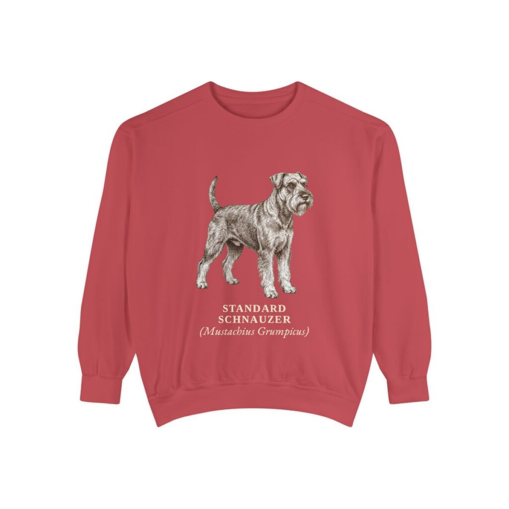 Standard Schnauzer Latin Sweatshirt, Crimson, front view