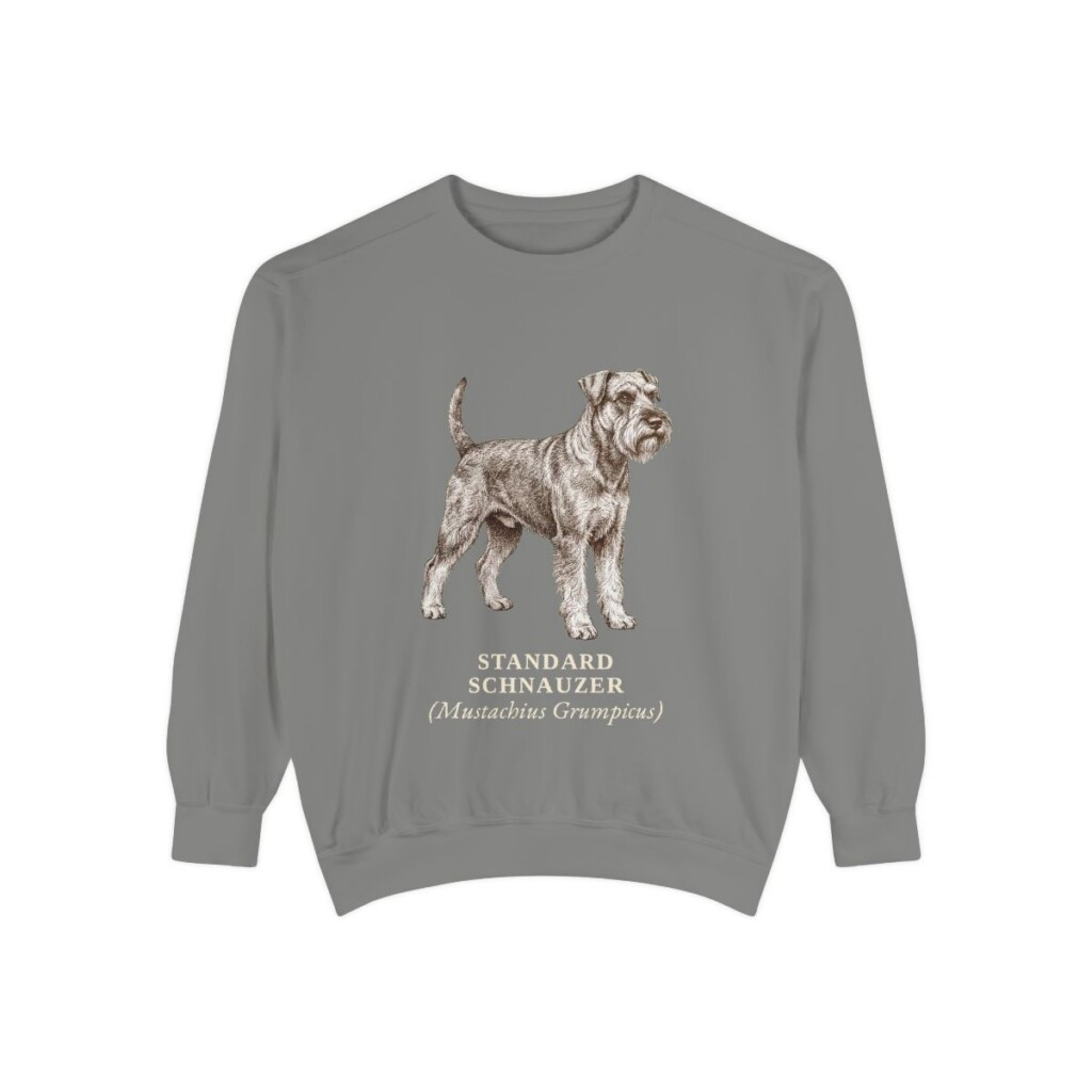 Standard Schnauzer Latin Sweatshirt, Grey, front view