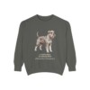 Standard Schnauzer Latin Sweatshirt, Pepper, front view