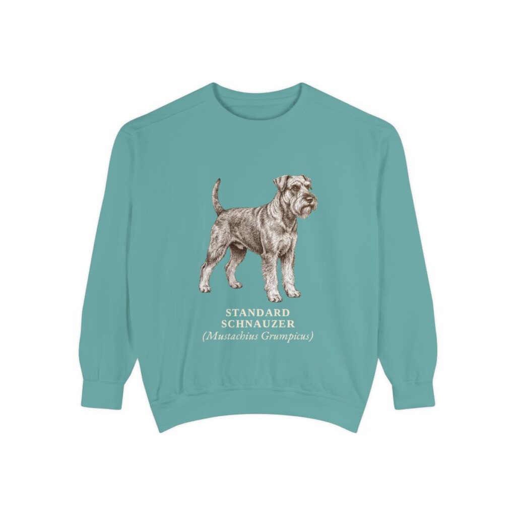 Standard Schnauzer Latin Sweatshirt, Seafoam, front view