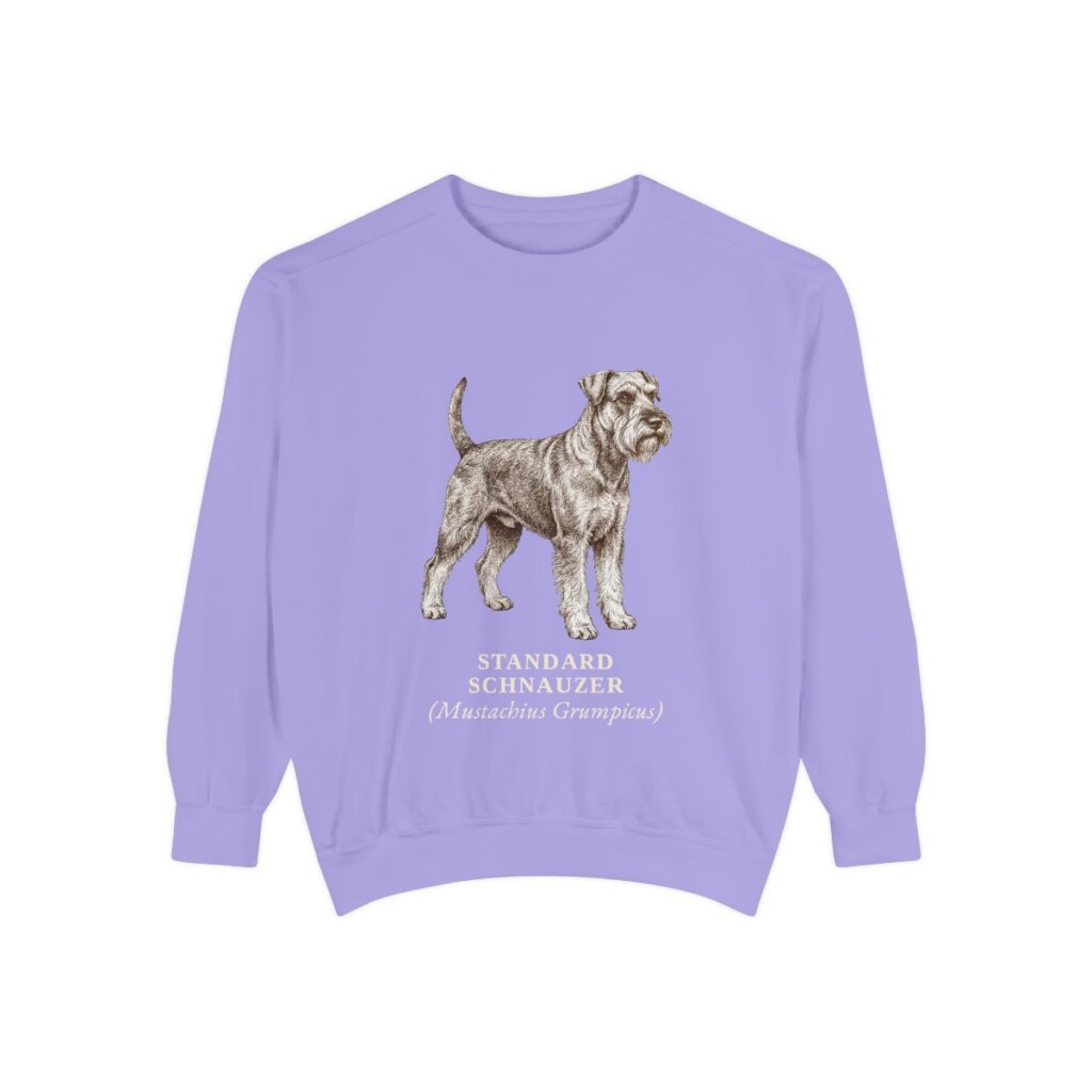 Standard Schnauzer Latin Sweatshirt, Violet, front view