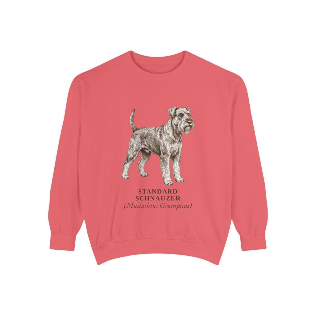 Standard Schnauzer Latin Sweatshirt, Watermelon, front view