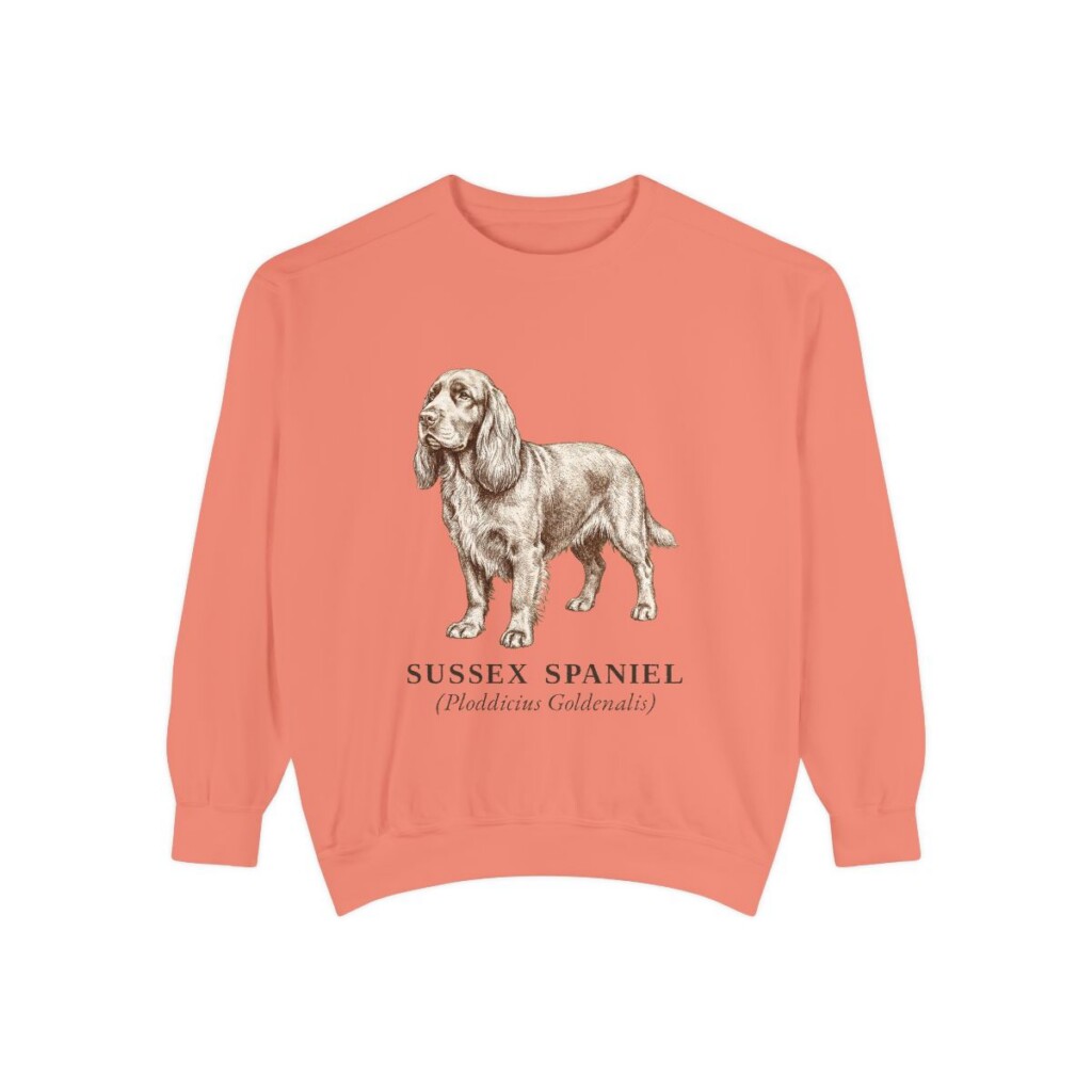 sussex-spaniel-sweatshirt-latin-terracotta-1 Sussex Spaniel Latin Sweatshirt, Terracotta, front view