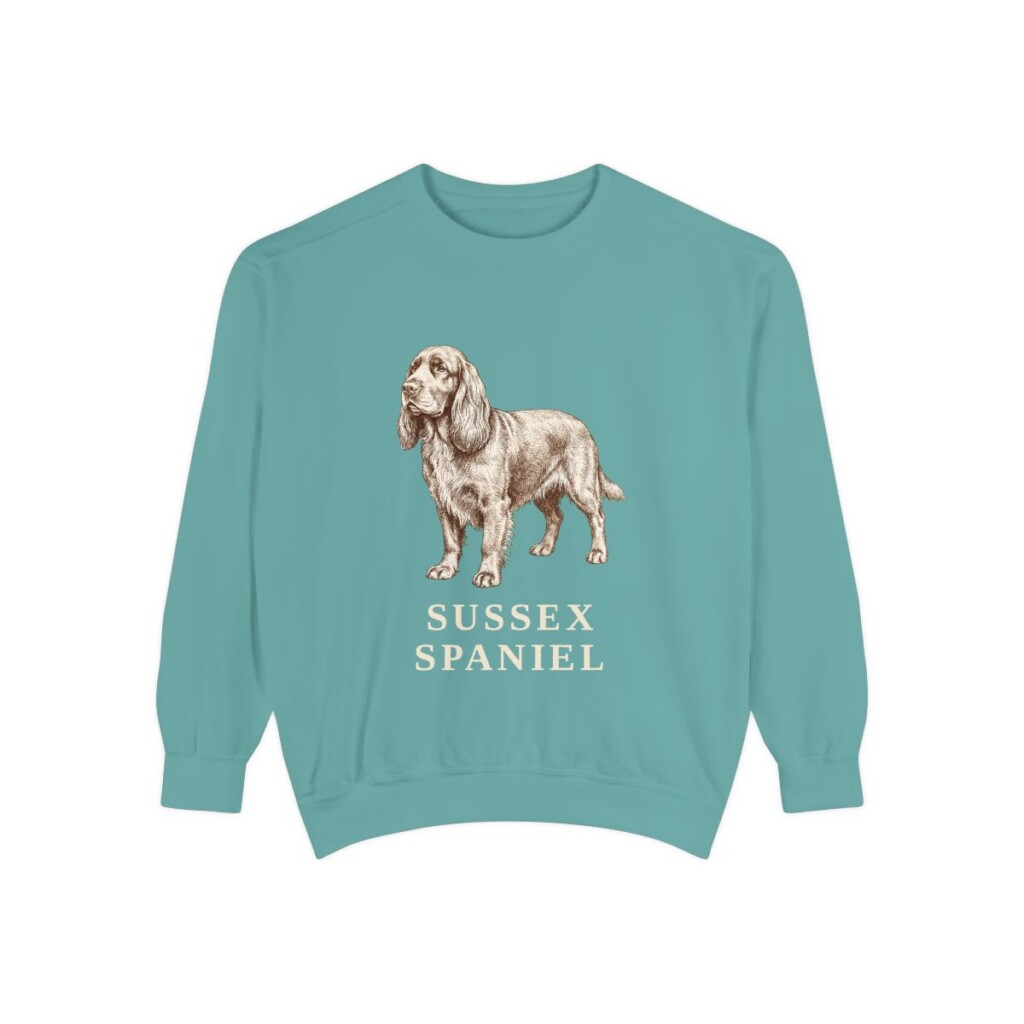 Sussex Spaniel Sweatshirt, Seafoam, front view