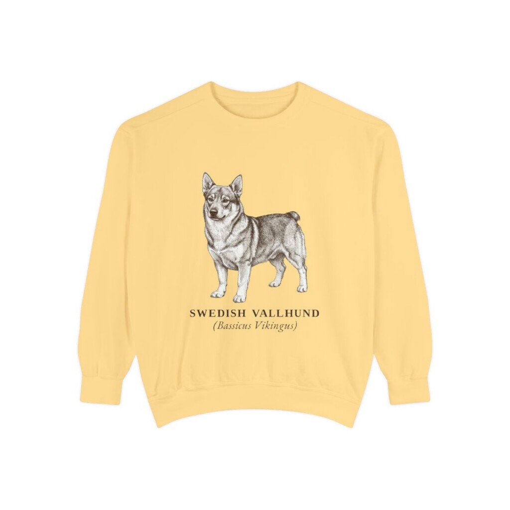 Swedish Vallhund Latin Sweatshirt, Butter, front view
