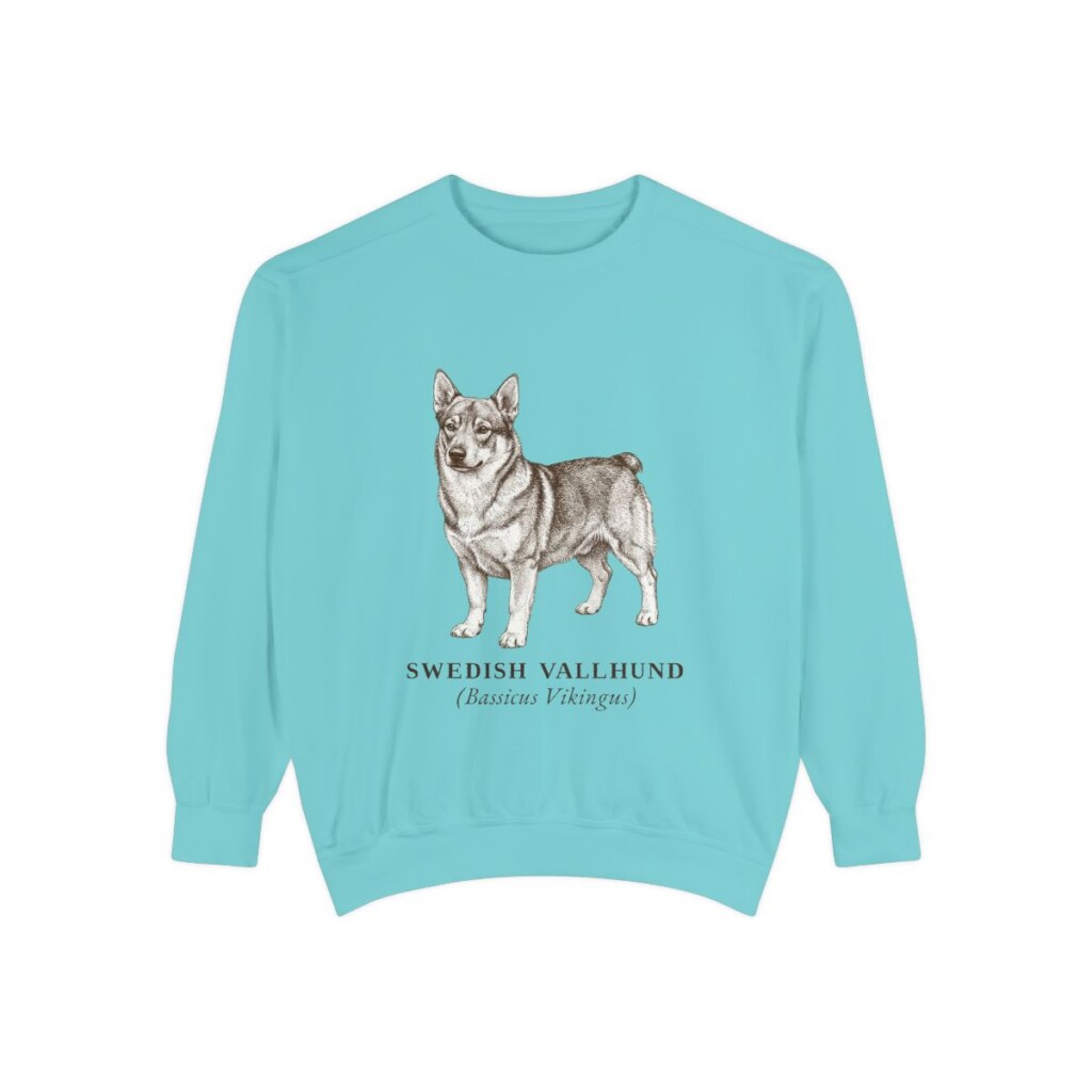 Swedish Vallhund Latin Sweatshirt, Chalky Mint, front view