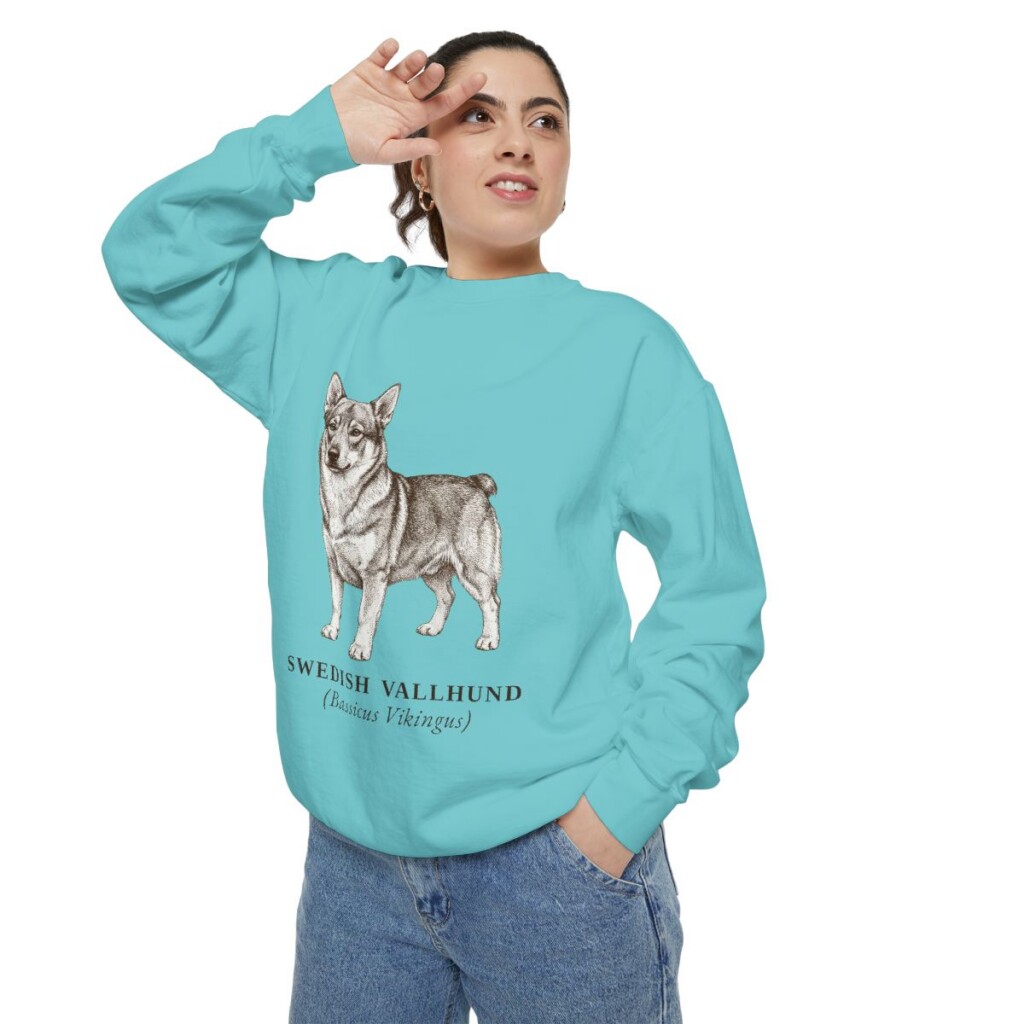 Swedish Vallhund Latin Sweatshirt, Chalky Mint, person 2 context