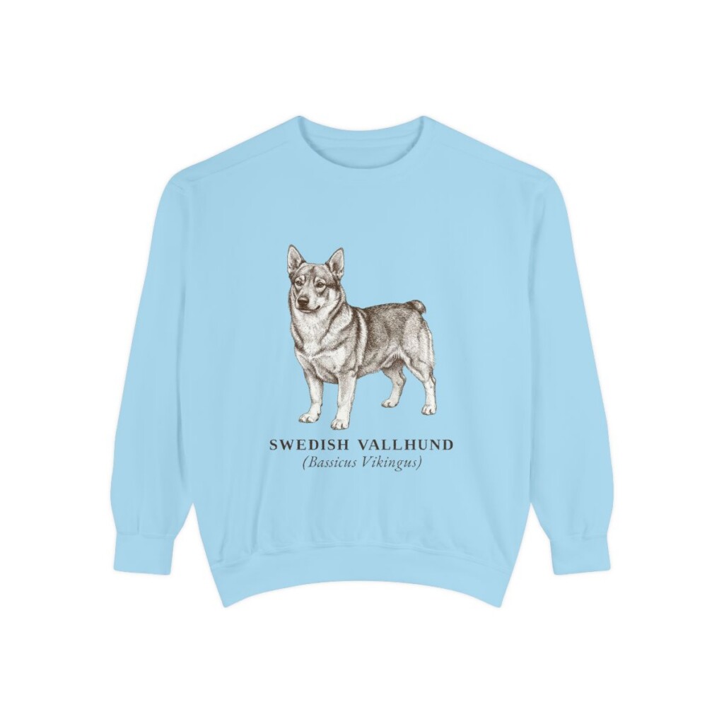 Swedish Vallhund Latin Sweatshirt, Chambray, front view