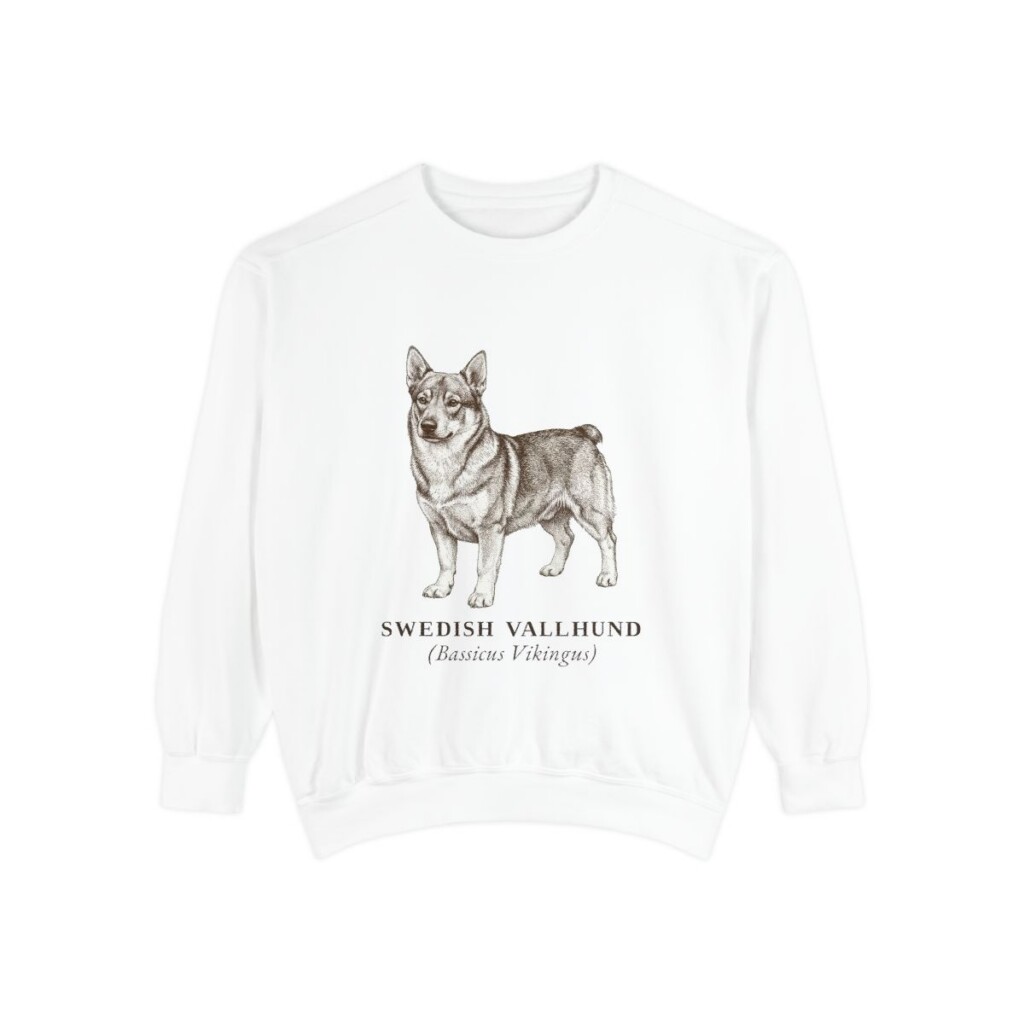 Swedish Vallhund Latin Sweatshirt, White, front view
