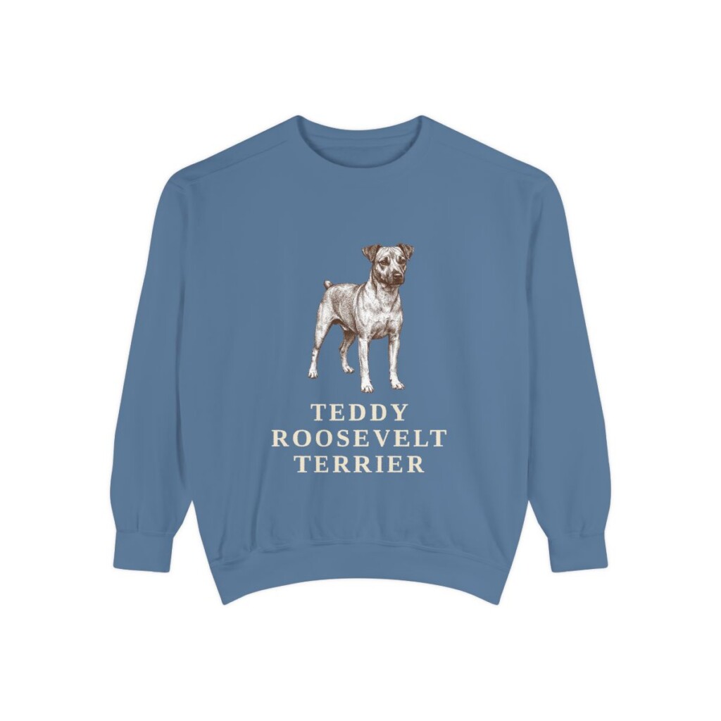 Teddy Roosevelt Terrier Sweatshirt, Blue Jean, front view