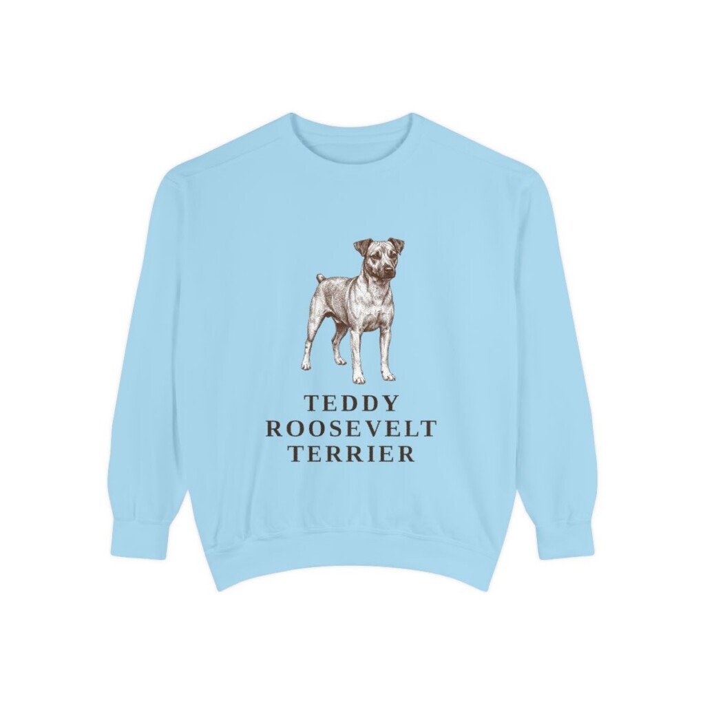 Teddy Roosevelt Terrier Sweatshirt, Chambray, front view