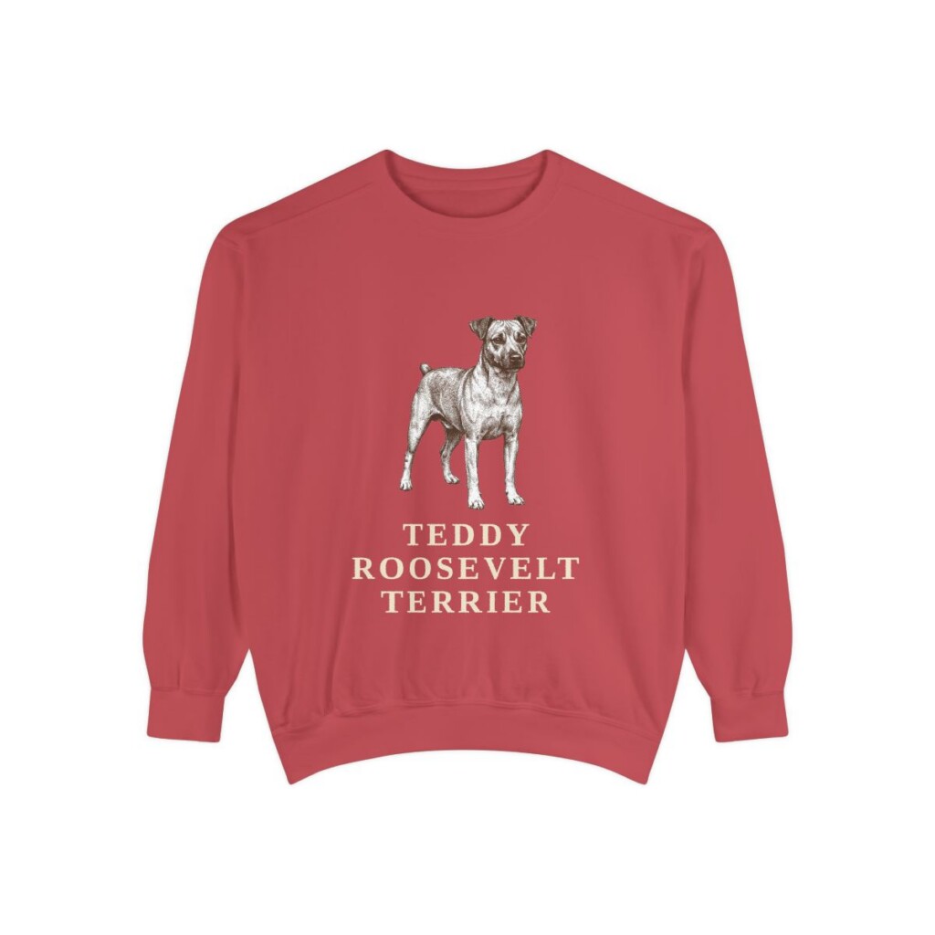 Teddy Roosevelt Terrier Sweatshirt, Crimson, front view