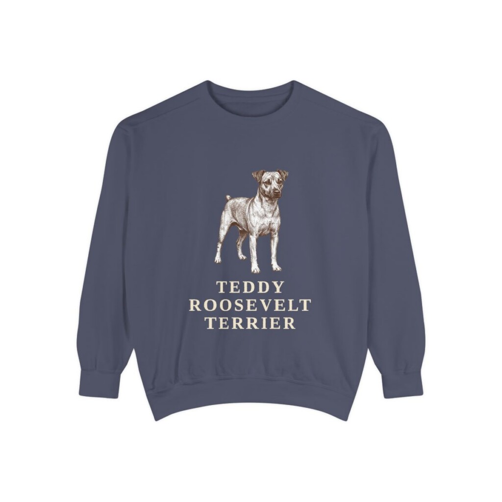 Teddy Roosevelt Terrier Sweatshirt, Denim, front view