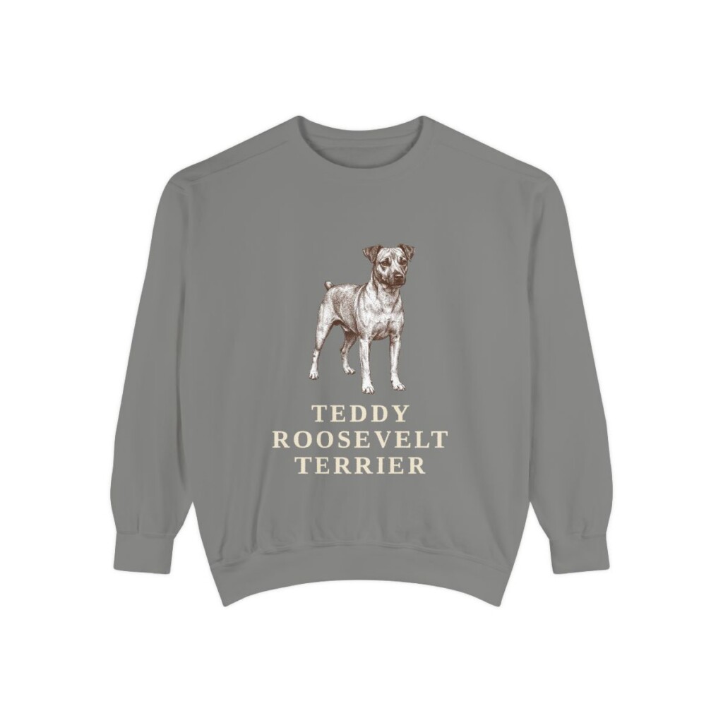 Teddy Roosevelt Terrier Sweatshirt, Grey, front view