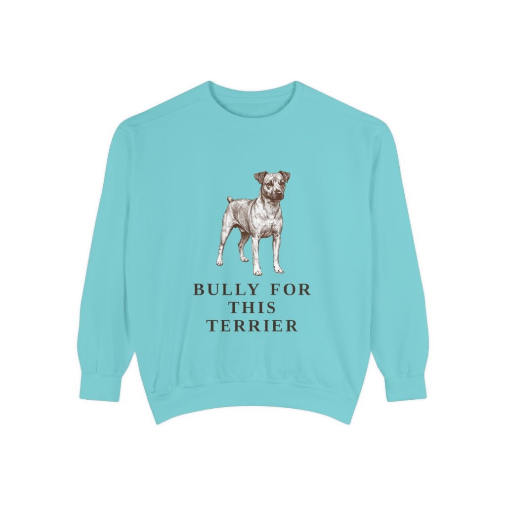 Teddy Roosevelt Terrier Humor Sweatshirt, Chalky Mint, front view