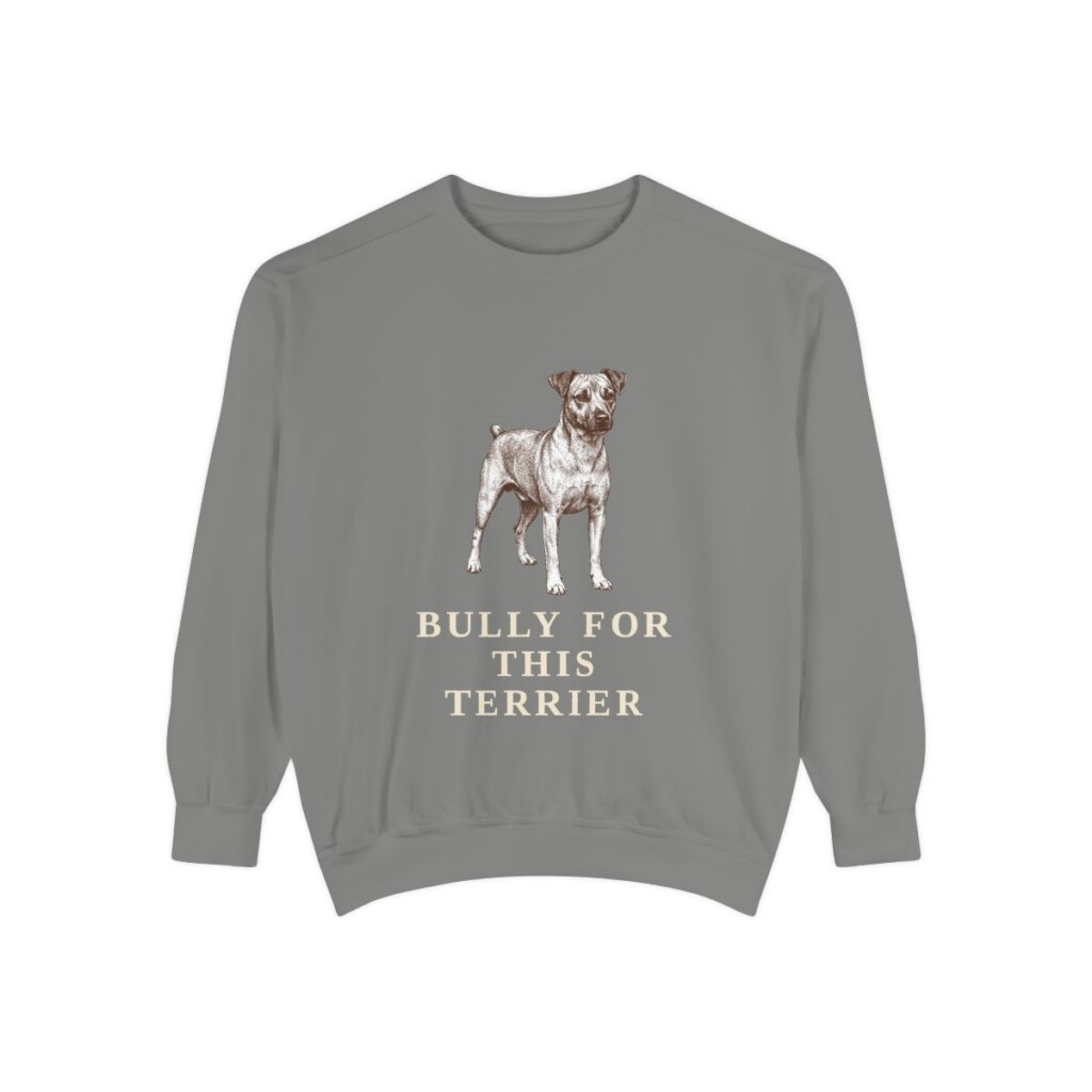Teddy Roosevelt Terrier Humor Sweatshirt, Grey, front view