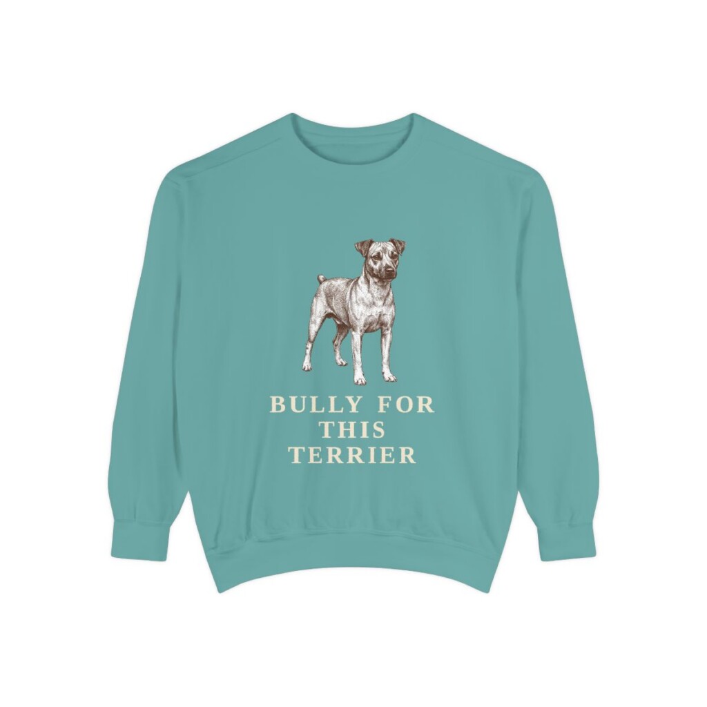 Teddy Roosevelt Terrier Humor Sweatshirt, Seafoam, front view