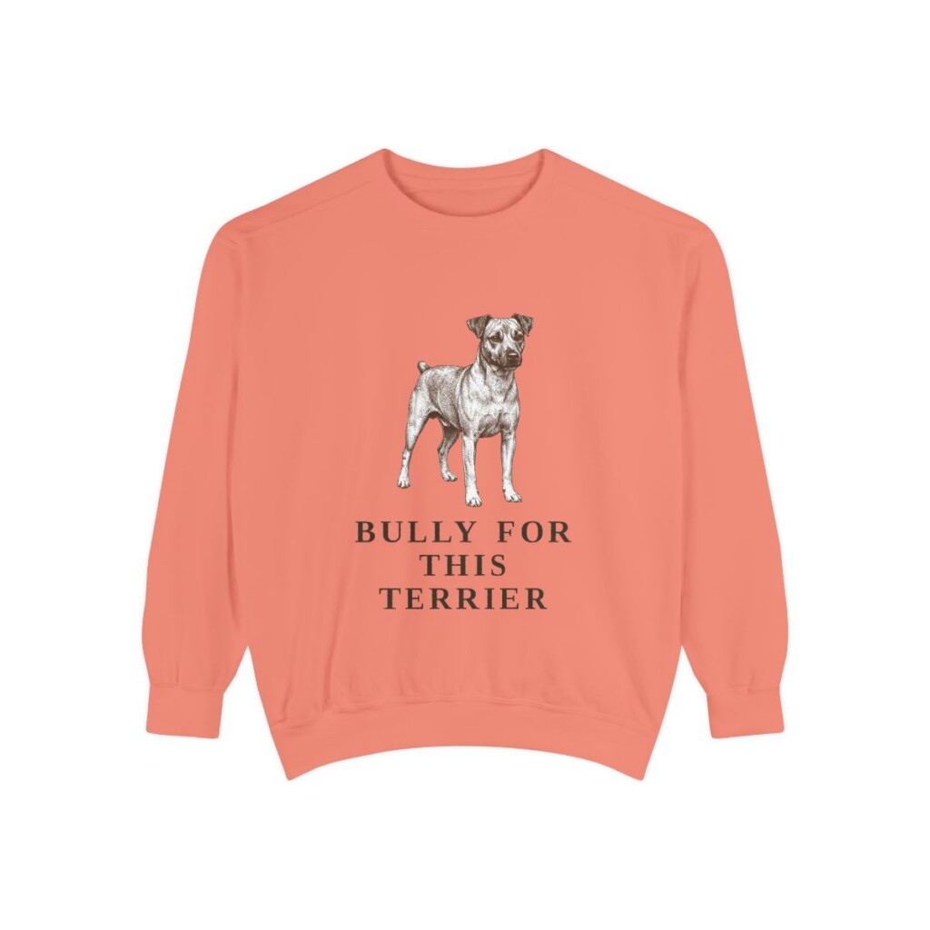 Teddy Roosevelt Terrier Humor Sweatshirt, Terracotta, front view
