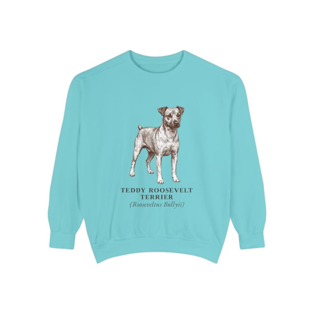 Teddy Roosevelt Terrier Latin Sweatshirt, Chalky Mint, front view