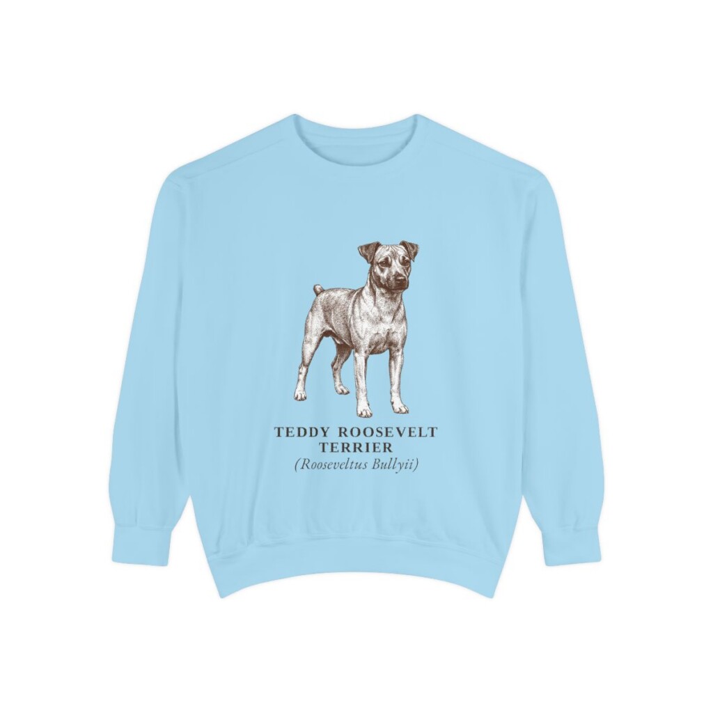 Teddy Roosevelt Terrier Latin Sweatshirt, Chambray, front view