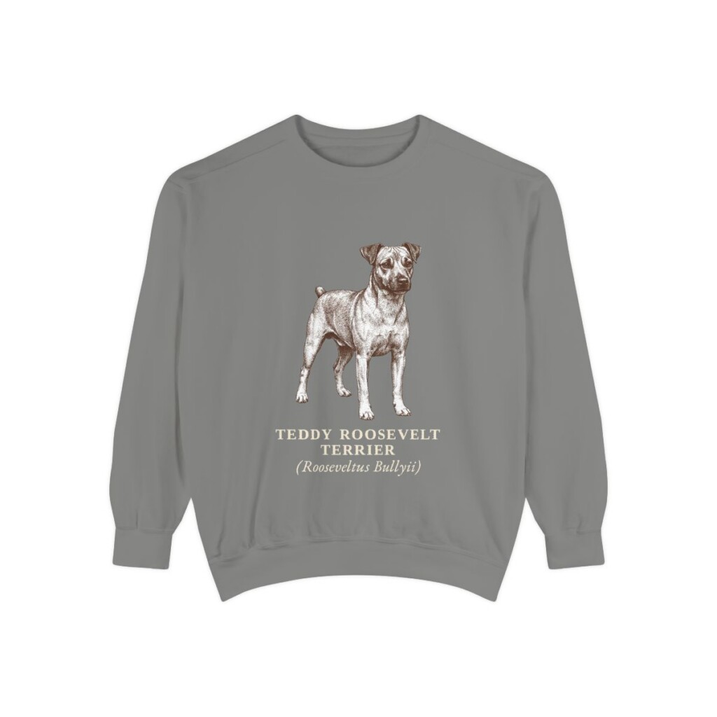 Teddy Roosevelt Terrier Latin Sweatshirt, Grey, front view