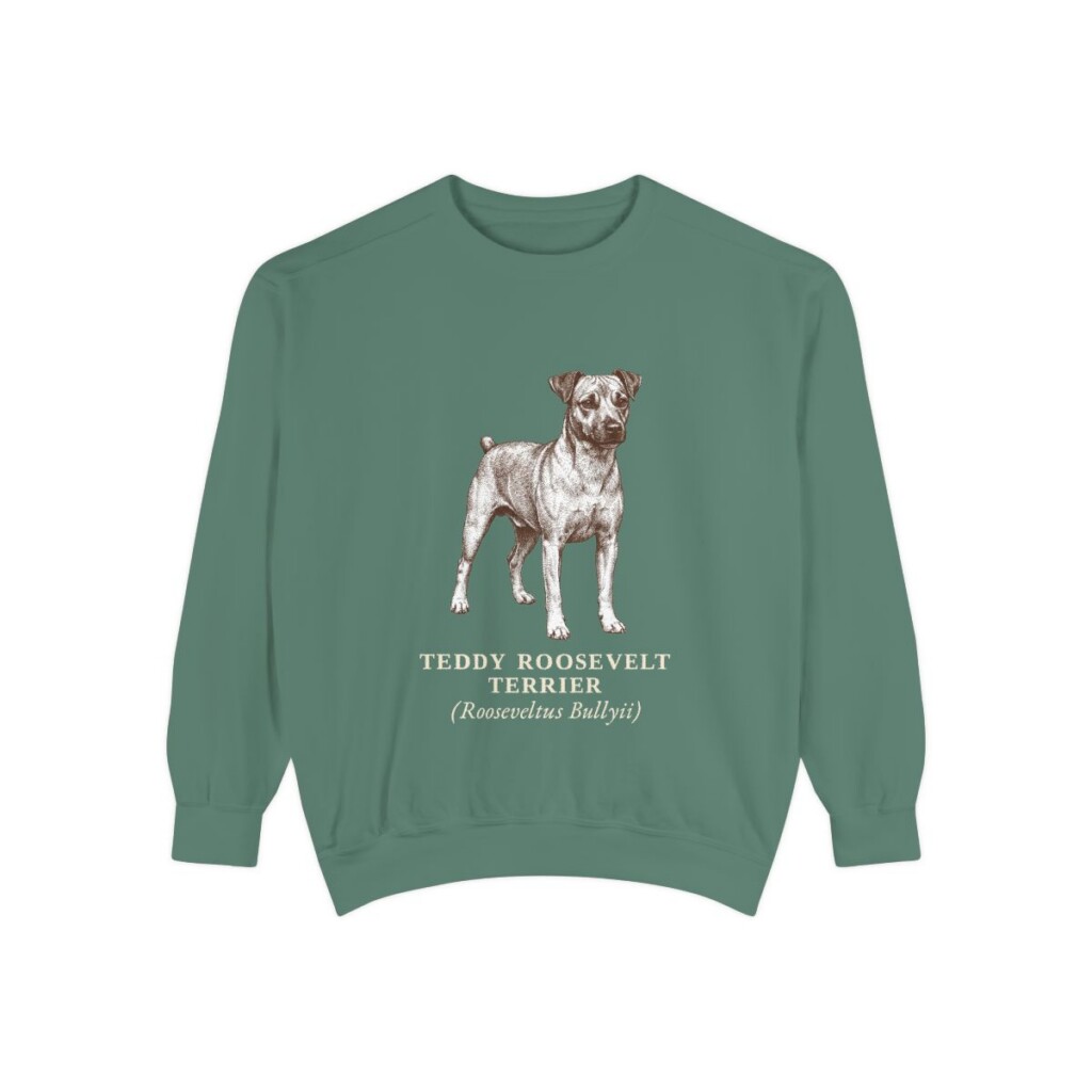Teddy Roosevelt Terrier Latin Sweatshirt, Light Green, front view