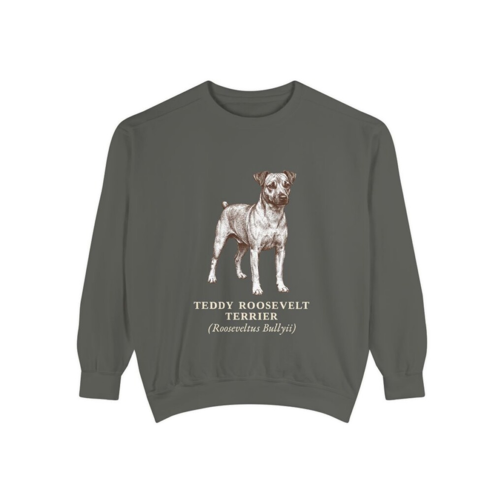 Teddy Roosevelt Terrier Latin Sweatshirt, Pepper, front view