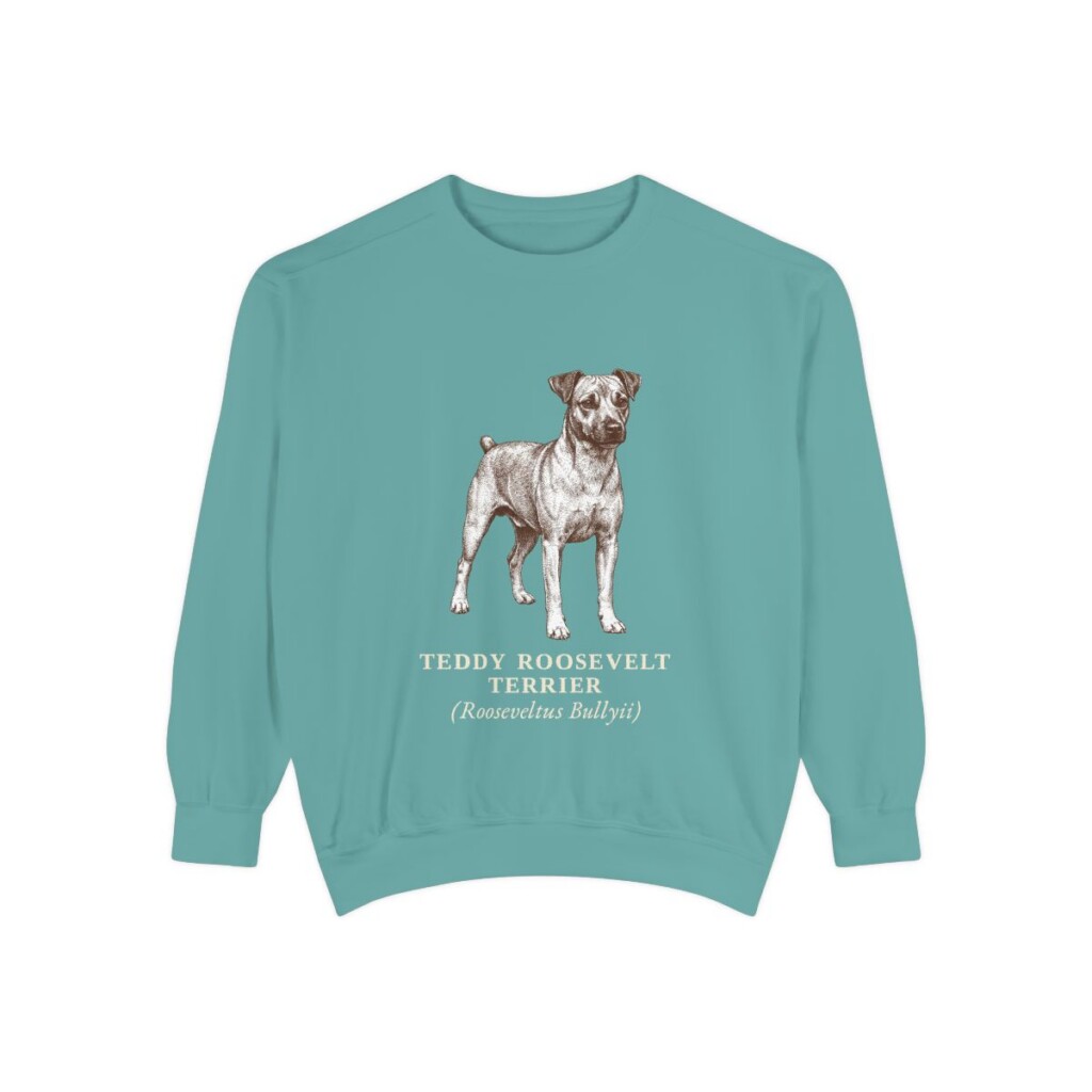 Teddy Roosevelt Terrier Latin Sweatshirt, Seafoam, front view