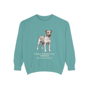 Teddy Roosevelt Terrier Latin Sweatshirt, Seafoam, front view