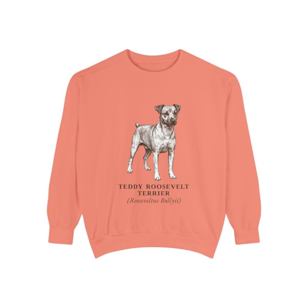 Teddy Roosevelt Terrier Latin Sweatshirt, Terracotta, front view