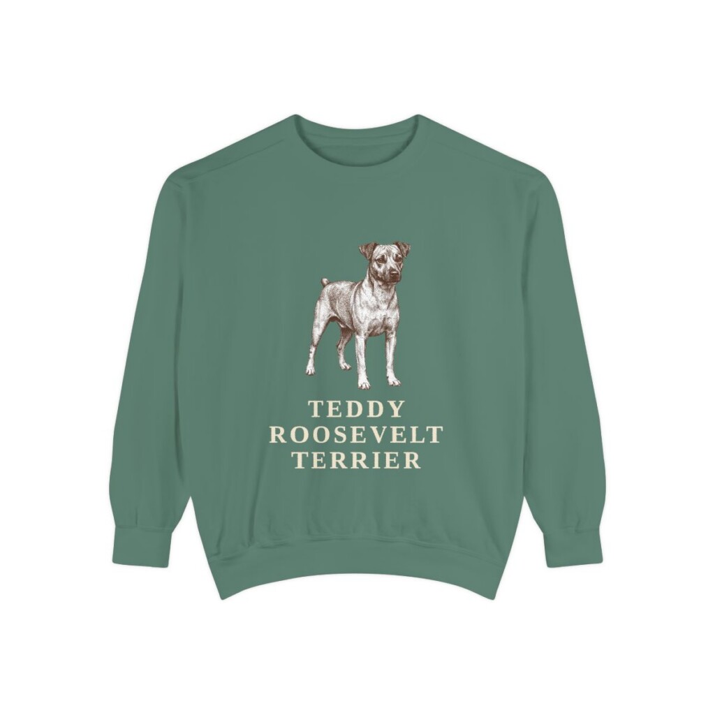 Teddy Roosevelt Terrier Sweatshirt, Light Green, front view