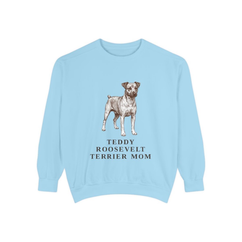 Teddy Roosevelt Terrier Mom Sweatshirt, Chambray, front view