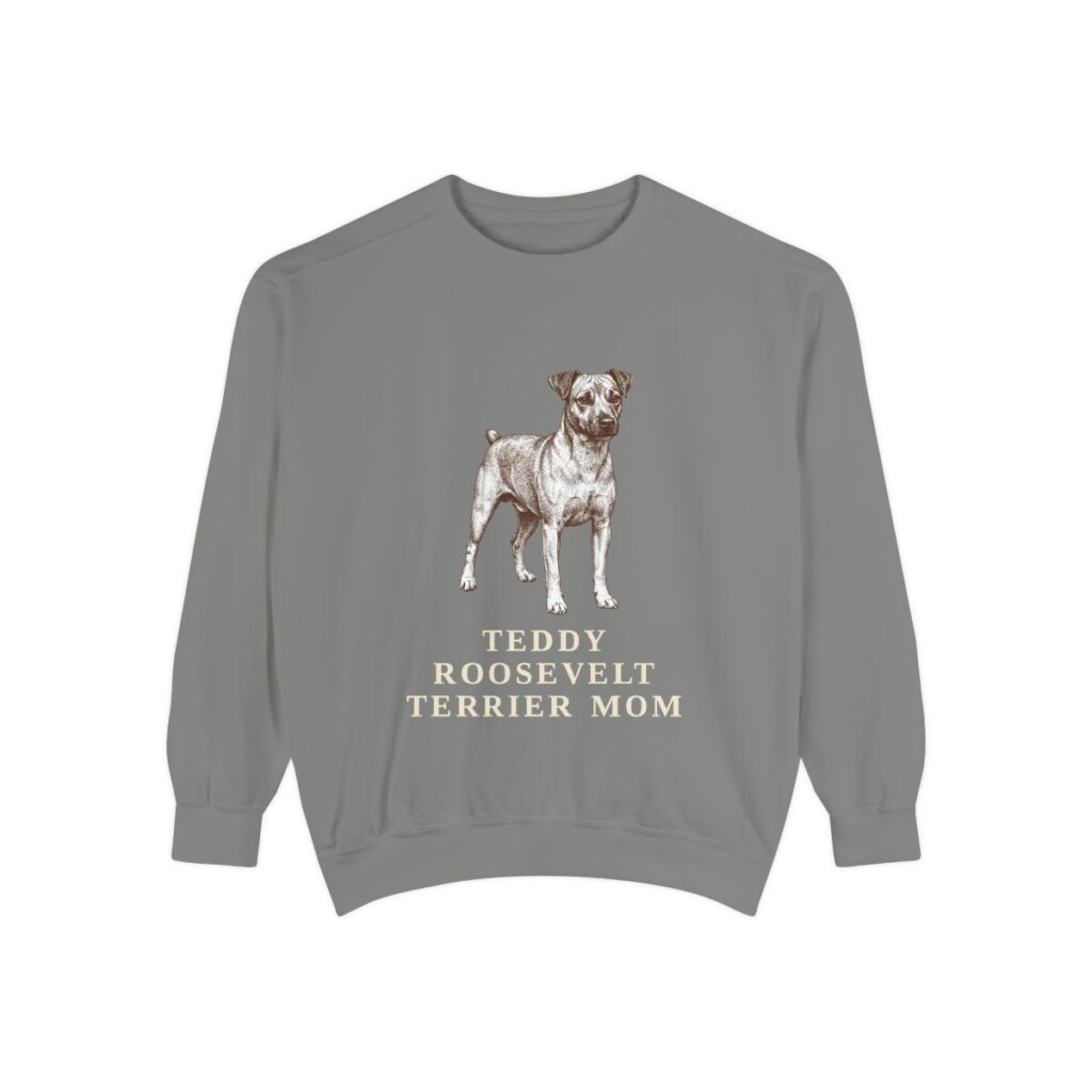 Teddy Roosevelt Terrier Mom Sweatshirt, Grey, front view