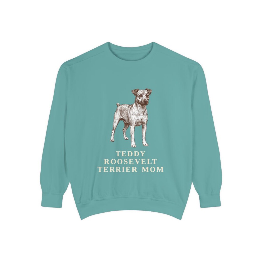 Teddy Roosevelt Terrier Mom Sweatshirt, Seafoam, front view
