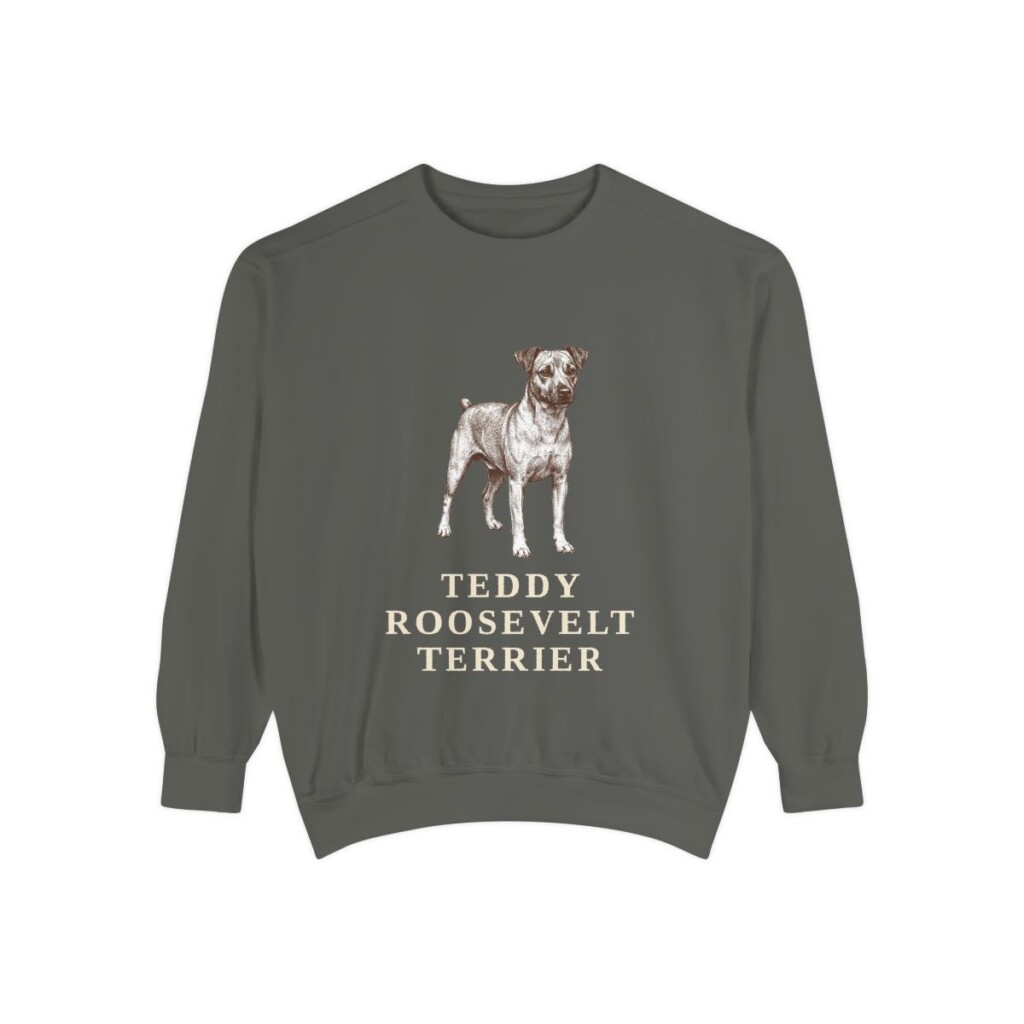 Teddy Roosevelt Terrier Sweatshirt, Pepper, front view