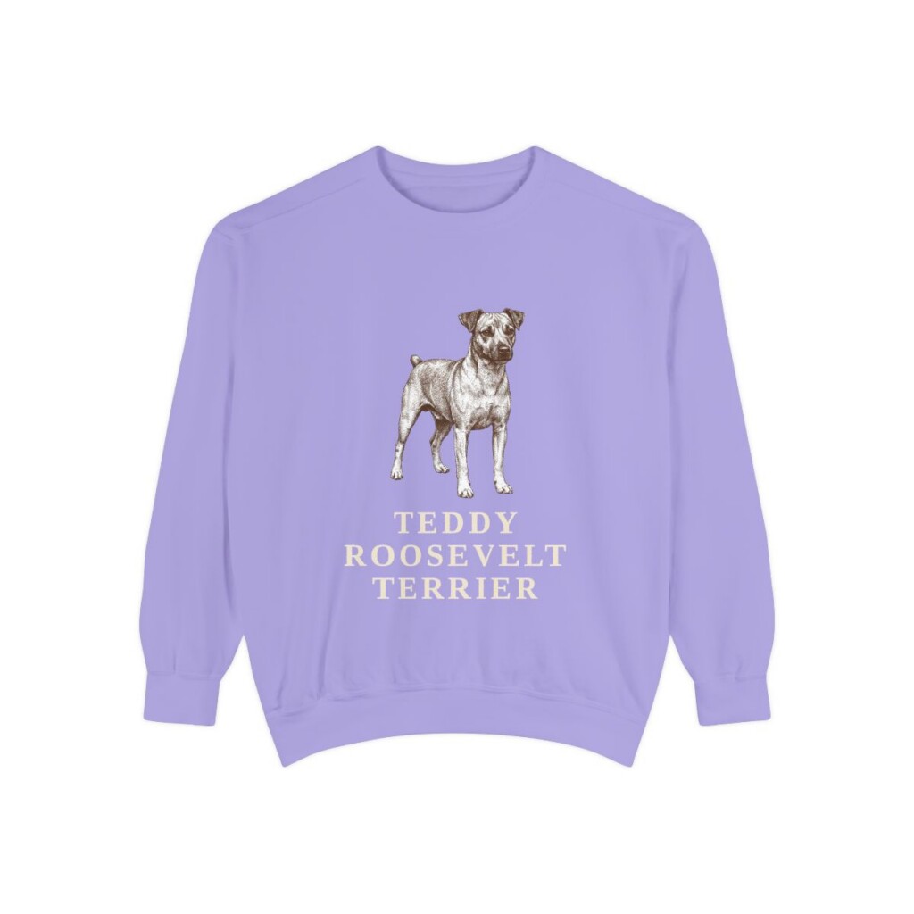 Teddy Roosevelt Terrier Sweatshirt, Violet, front view