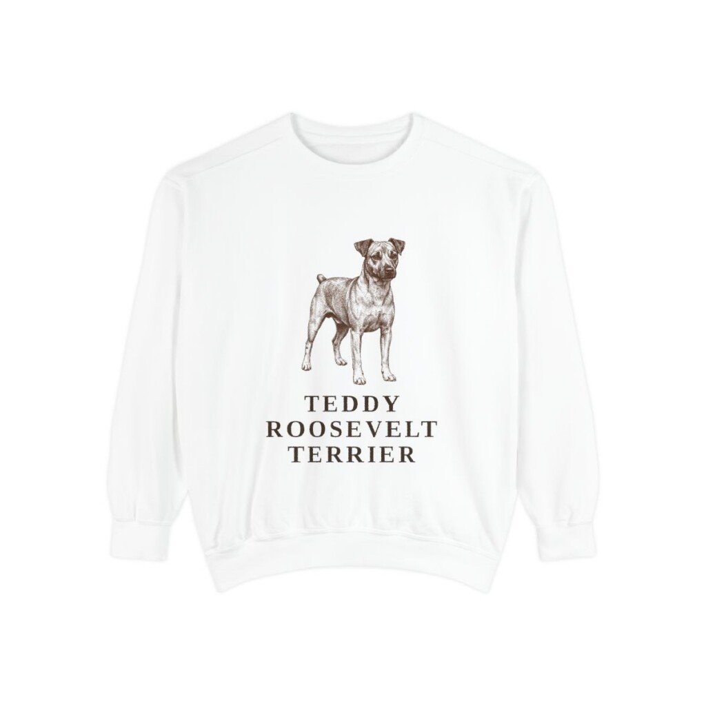 Teddy Roosevelt Terrier Sweatshirt, White, front view