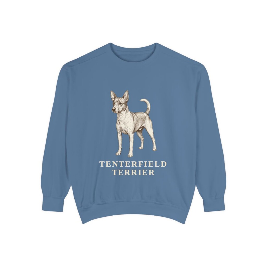Tenterfield Terrier Sweatshirt, Blue Jean, front view