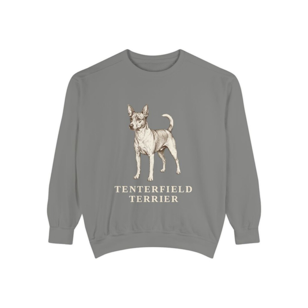 Tenterfield Terrier Sweatshirt, Grey, front view