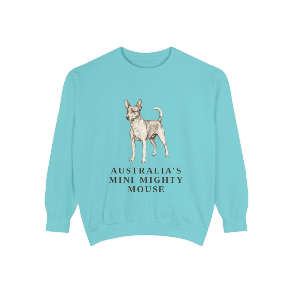 Tenterfield Terrier Humor Sweatshirt, Chalky Mint, front view