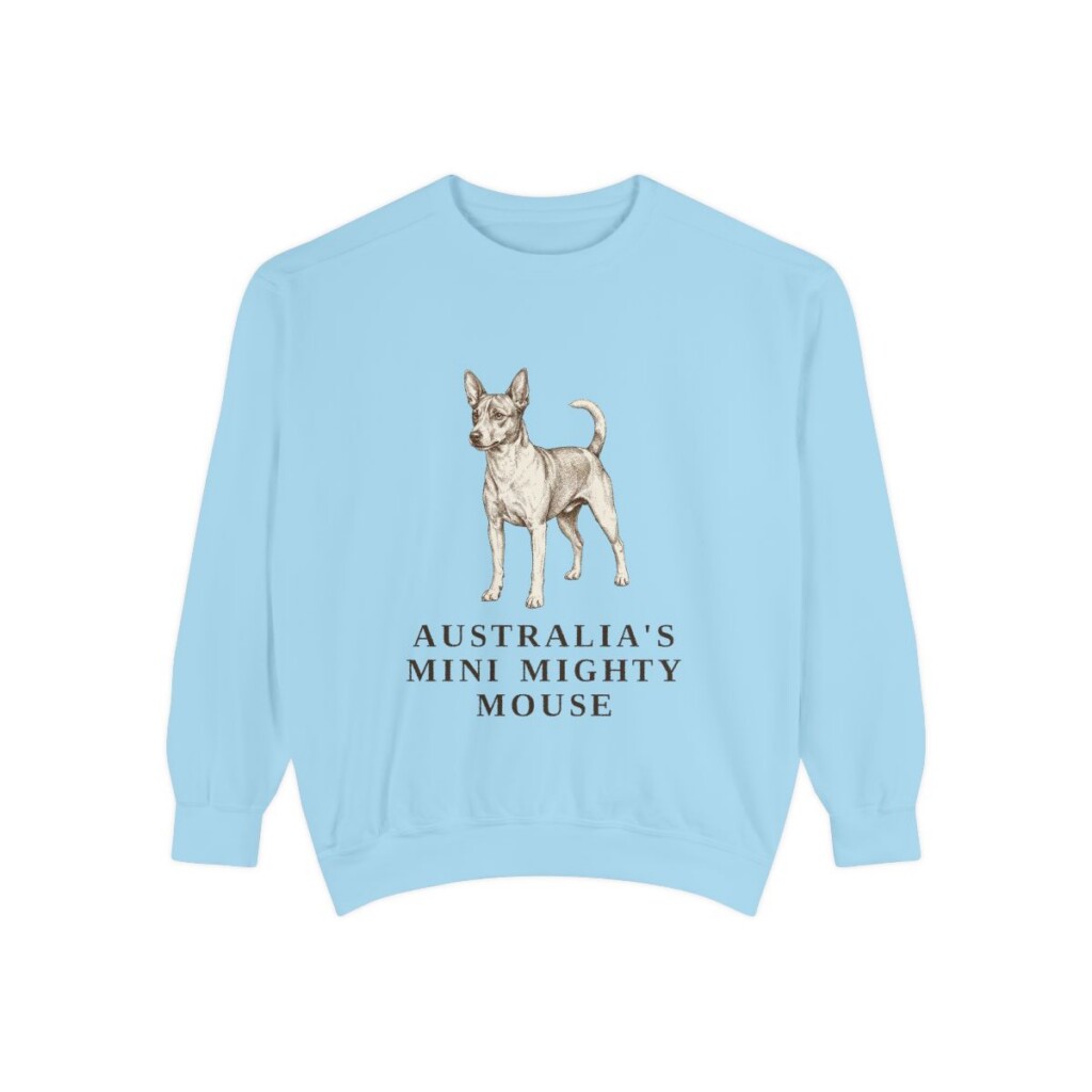 Tenterfield Terrier Humor Sweatshirt, Chambray, front view