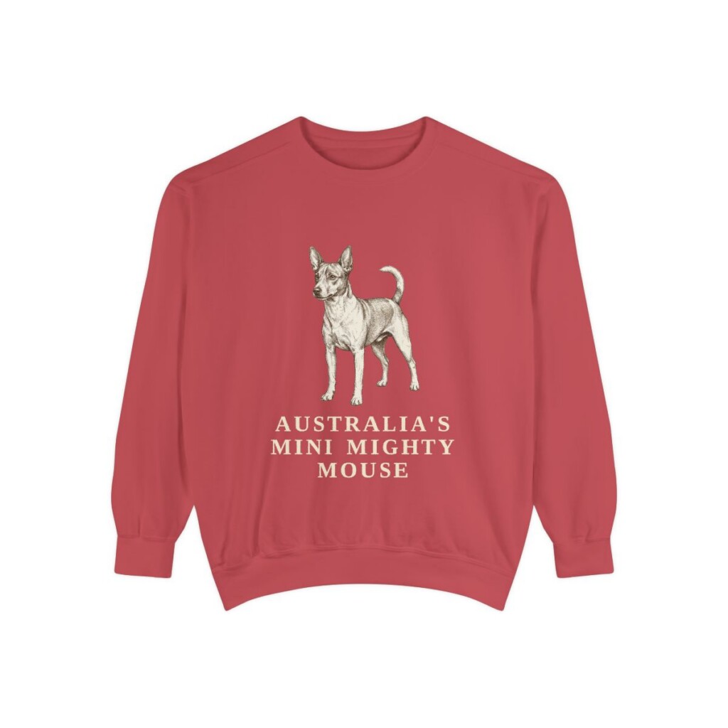 Tenterfield Terrier Humor Sweatshirt, Crimson, front view