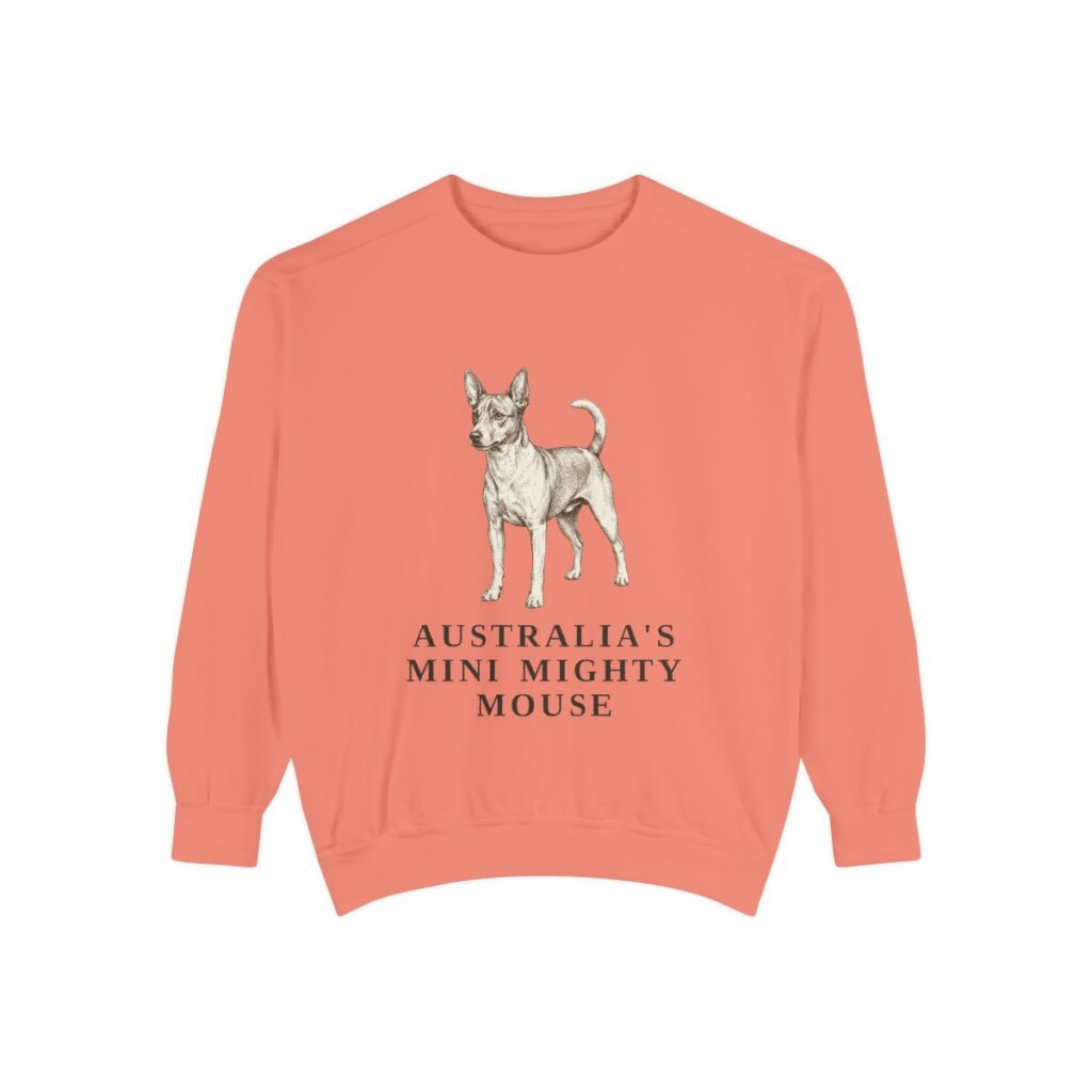Tenterfield Terrier Humor Sweatshirt, Terracotta, front view