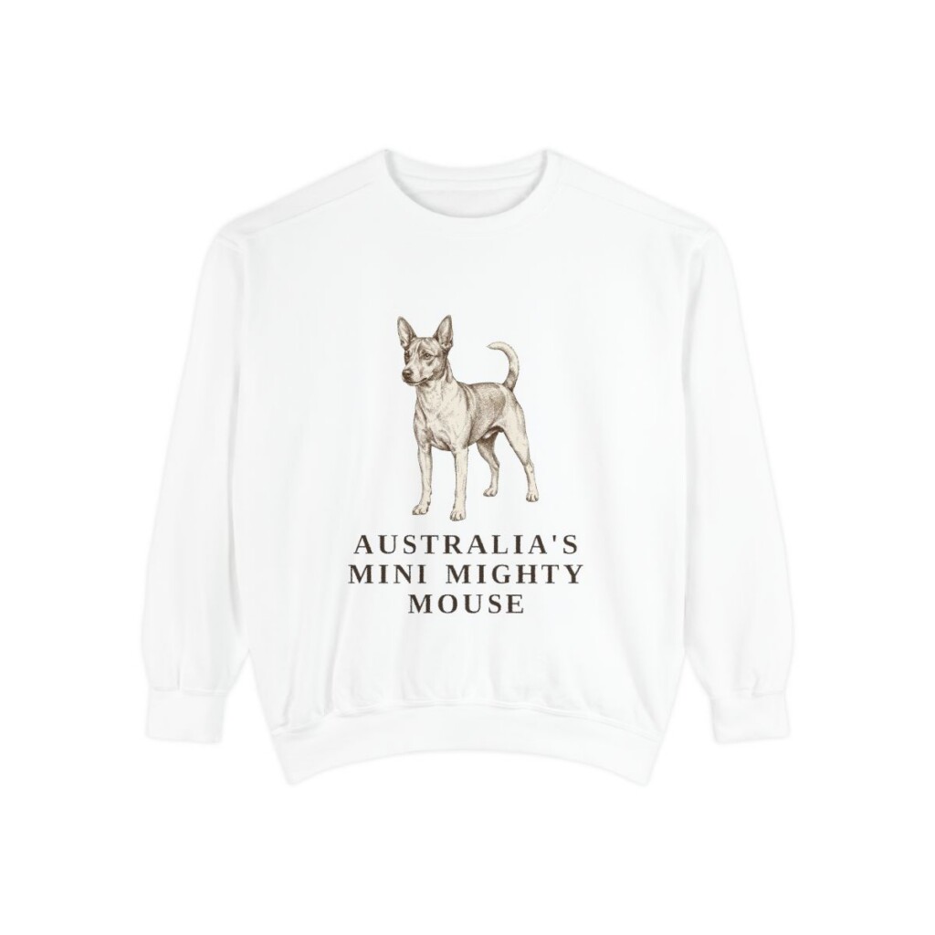 Tenterfield Terrier Humor Sweatshirt, White, front view