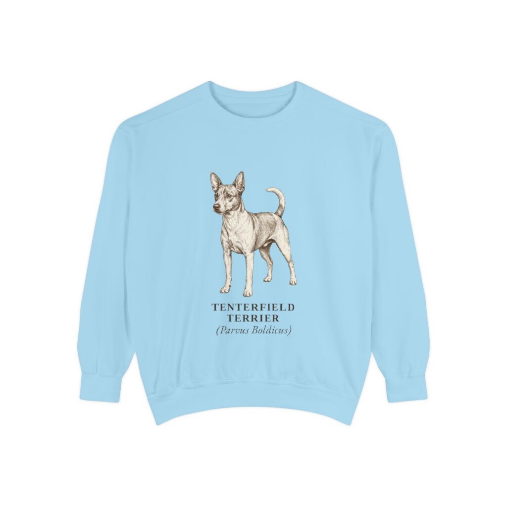 Tenterfield Terrier Latin Sweatshirt, Chambray, front view