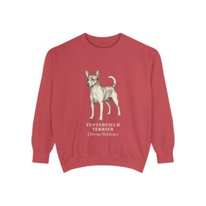 tenterfield-terrier-sweatshirt-latin-crimson Tenterfield Terrier Latin Sweatshirt, Crimson, front view
